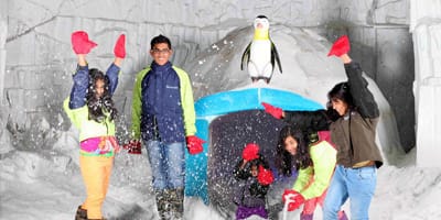 Family Outing in Bangalore at Snow city