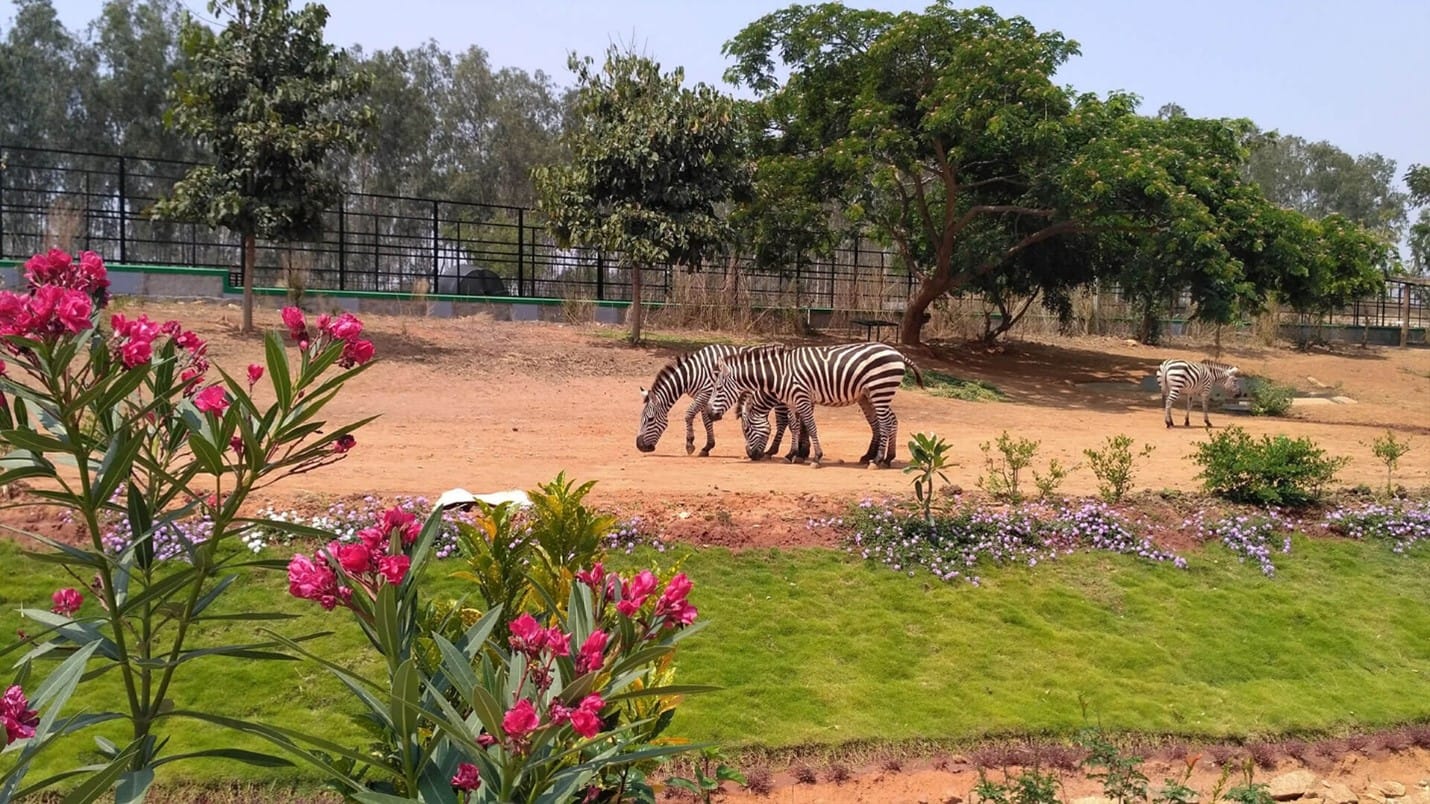 Things to do in Bangalore