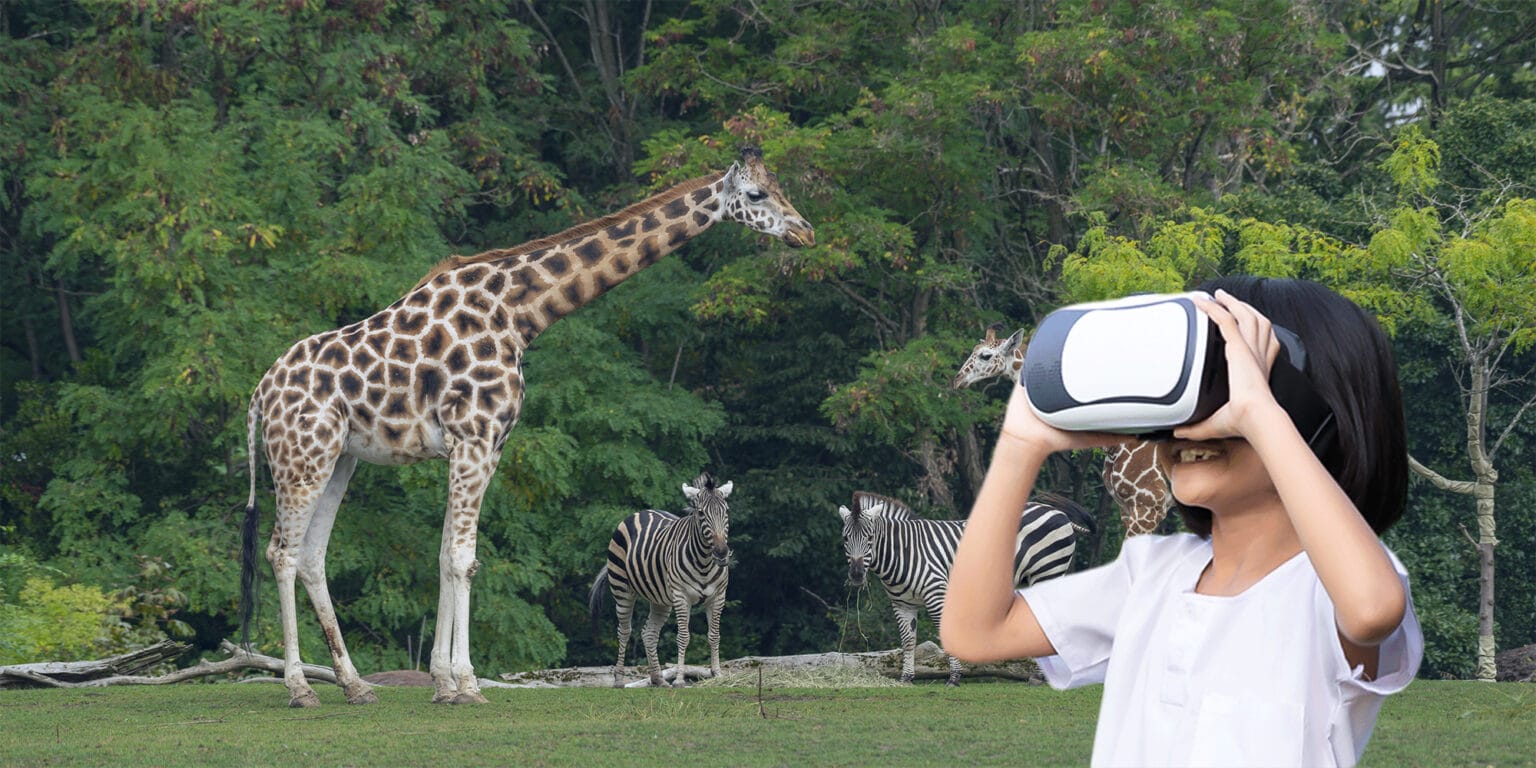 things to do in bangalore AR Zoo